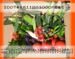 08113000en 野菜セット