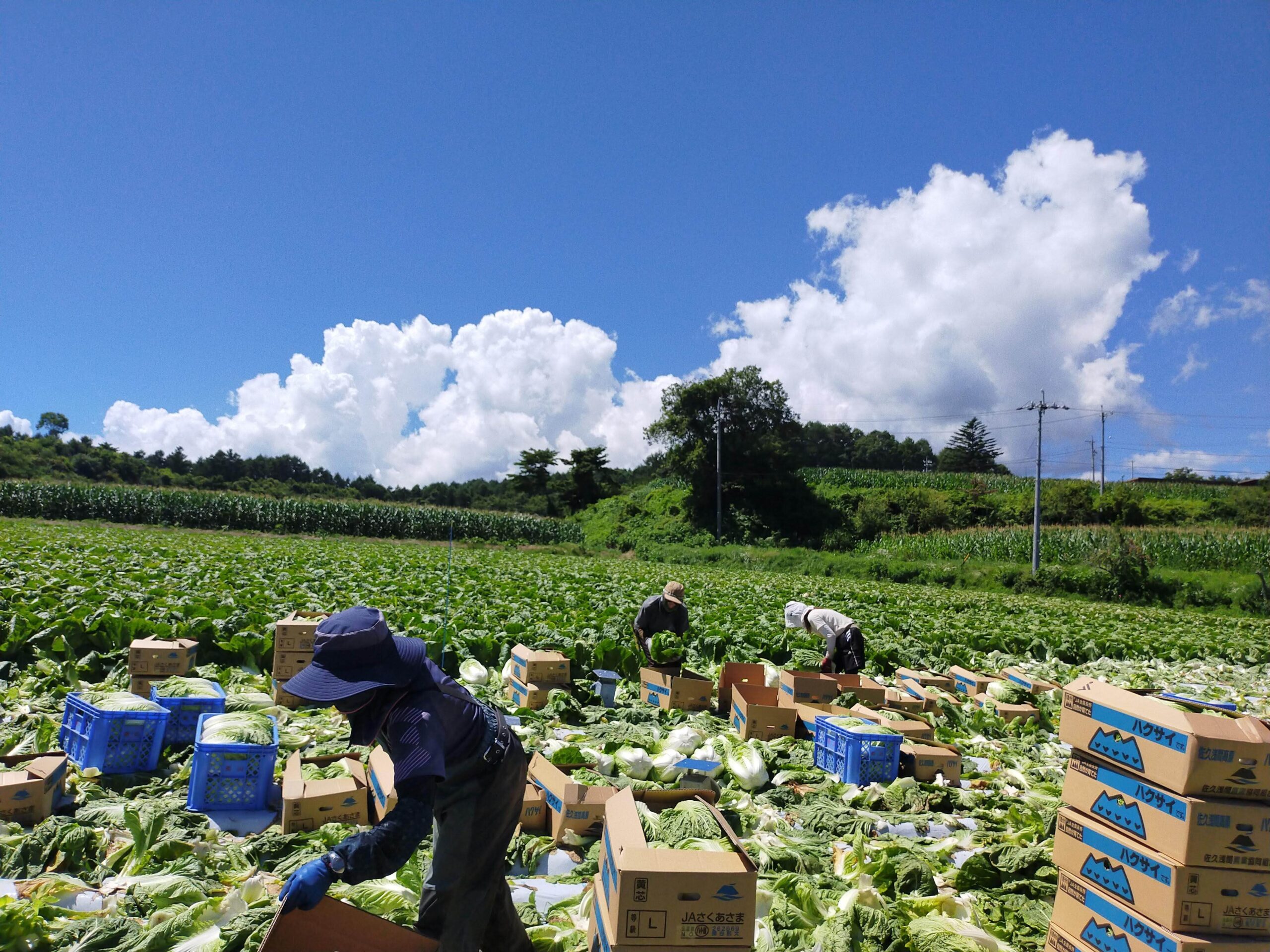 あさひや農場について | あさひや農場